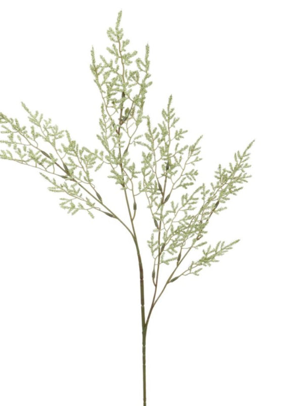 Limonium Spray Stem 76cm