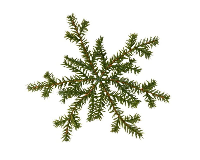 Hanging pine star snowflake decoration