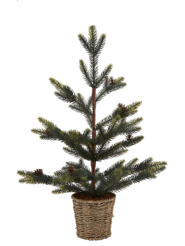 Medium Spruce Christmas Tree in Wicker Basket