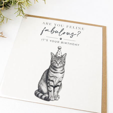 ‘Are You Feline Fabulous’ Fun Greeting Card
