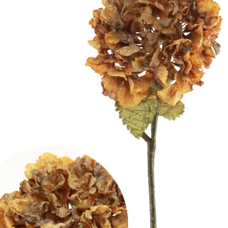 Honey coffee Ruffled real feel Hydrangea Stem
