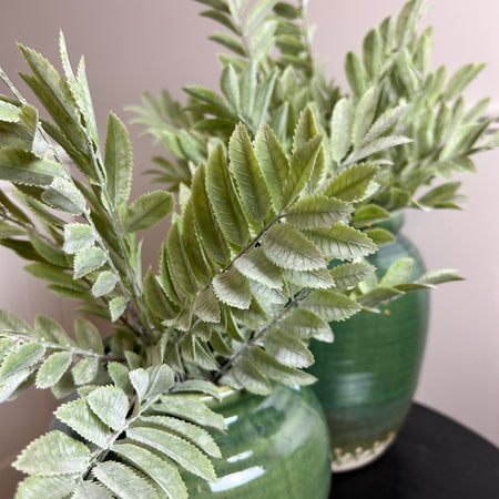 Maiden fern spray bunch