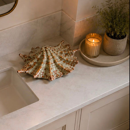 Spider conch ceramic shell decoration brown