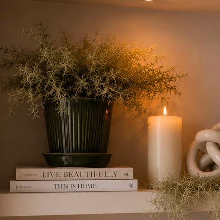 Spanish moss bunch