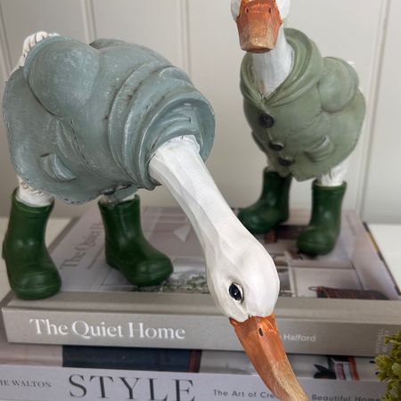 Cute posed Ducks, 2 styles