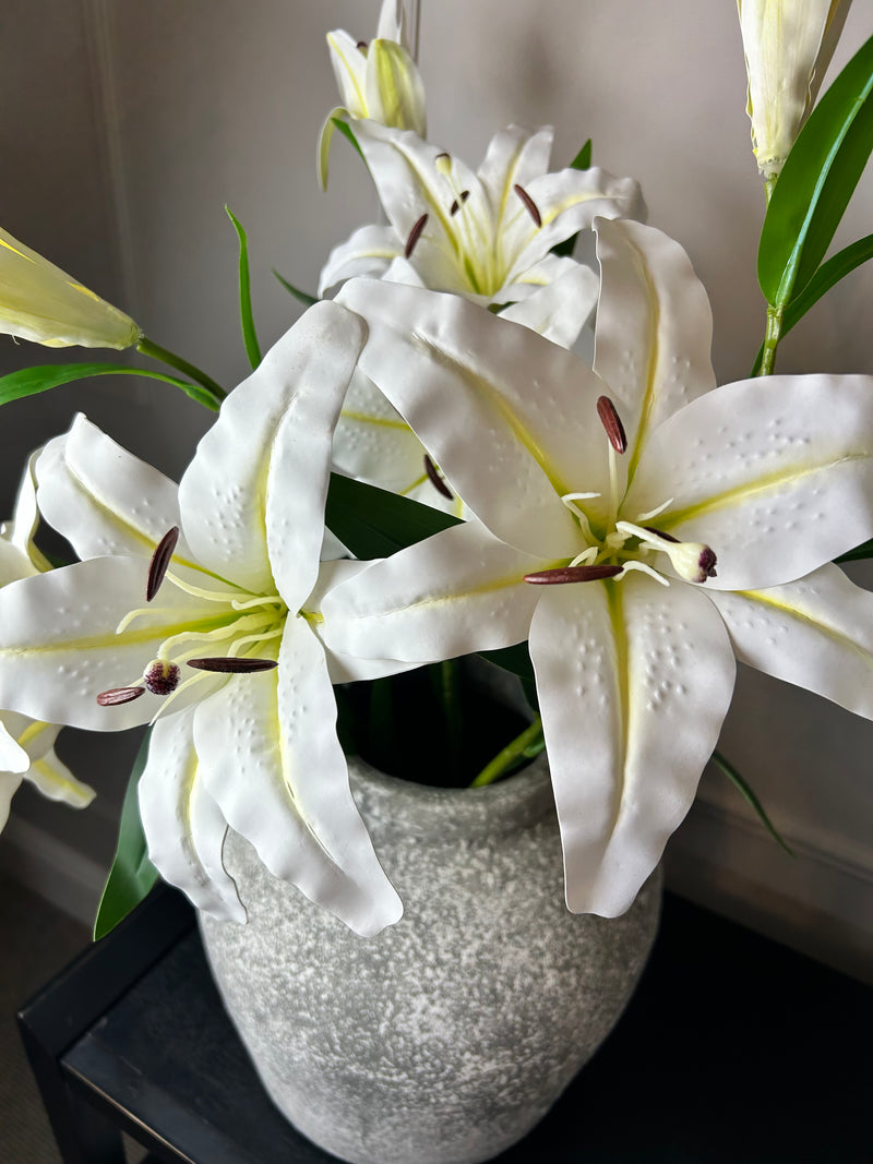 White Casa Blanca Lily