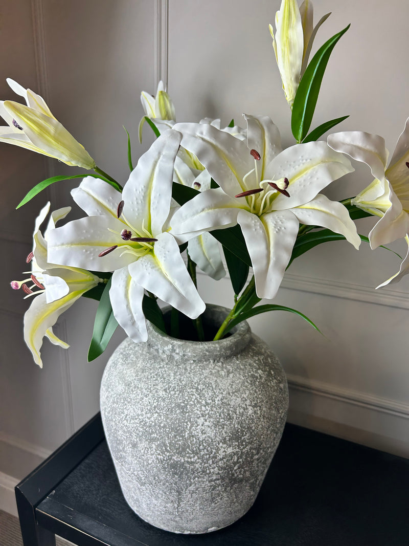 White Casa Blanca Lily