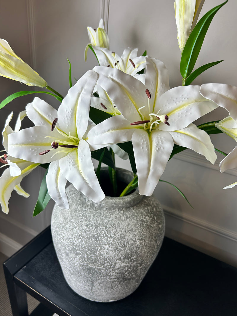 White Casa Blanca Lily