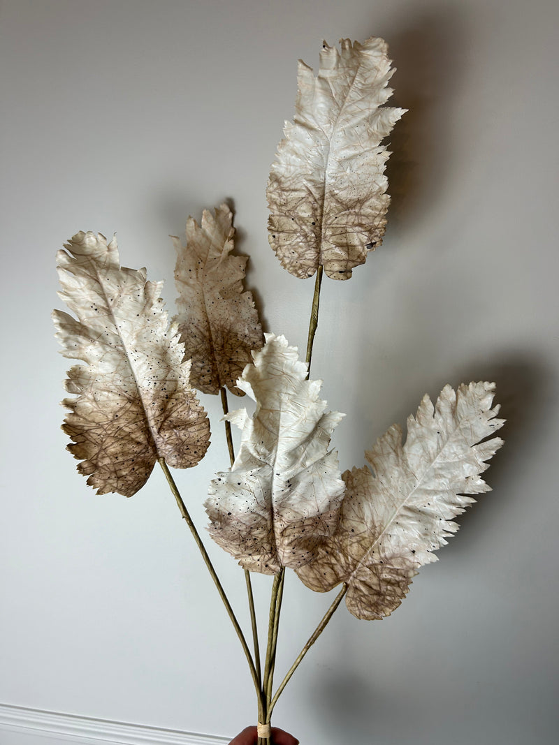 Oyster blush Dried Touch Large Leaf tied Bunch 5 stem