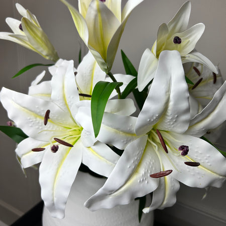 Store Seconds White Casa Blanca Lily