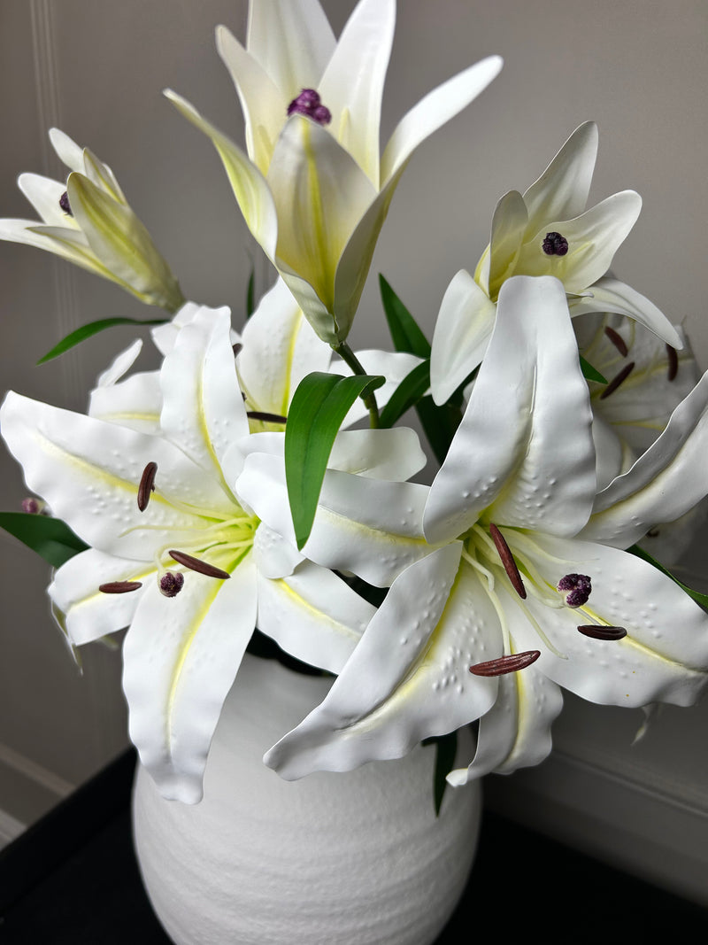 White Casa Blanca Lily