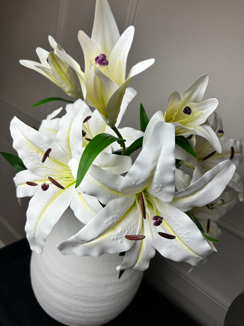 White Casa Blanca Lily