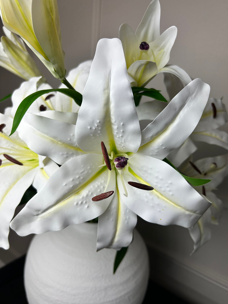 White Casa Blanca Lily