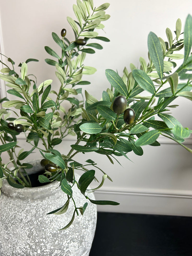 Olive Branch Stem 85cm