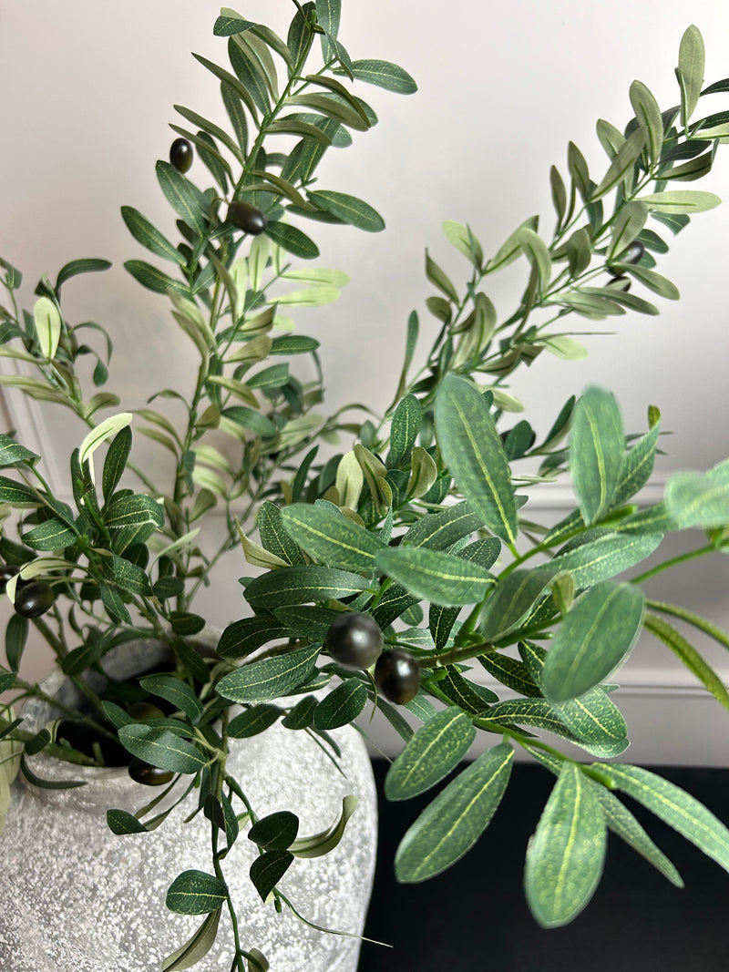 Olive Branch Stem 85cm