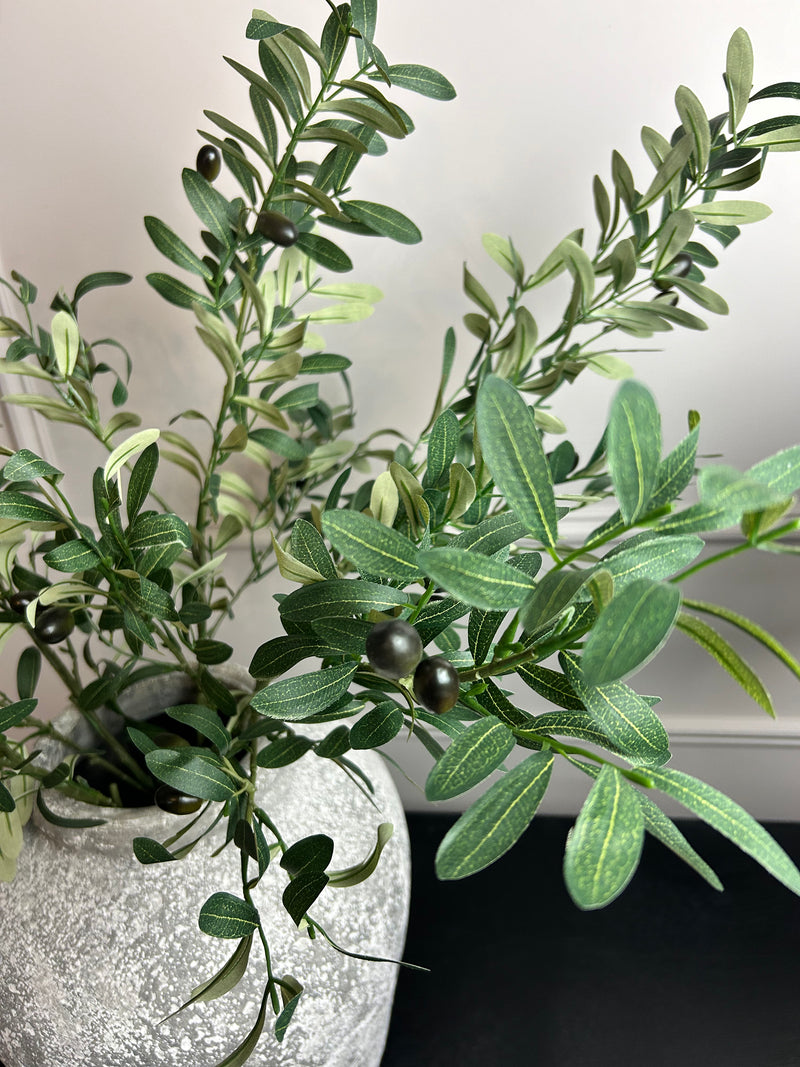 Olive Branch Stem 85cm