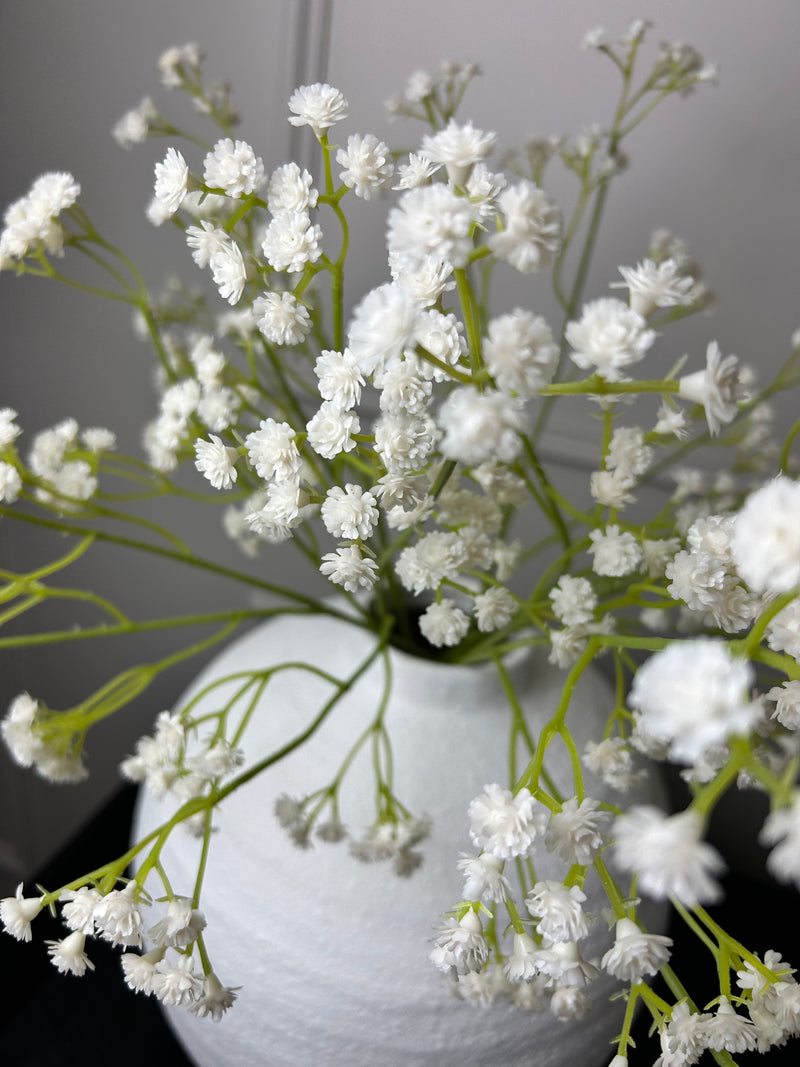 Gypsophila stem 60cm