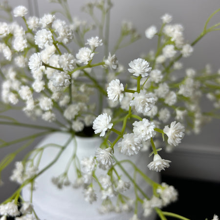 Gypsophila stem 60cm