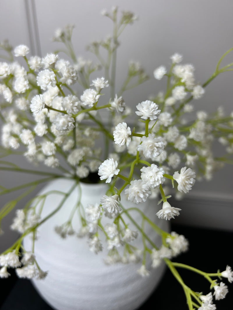 Gypsophila stem 60cm