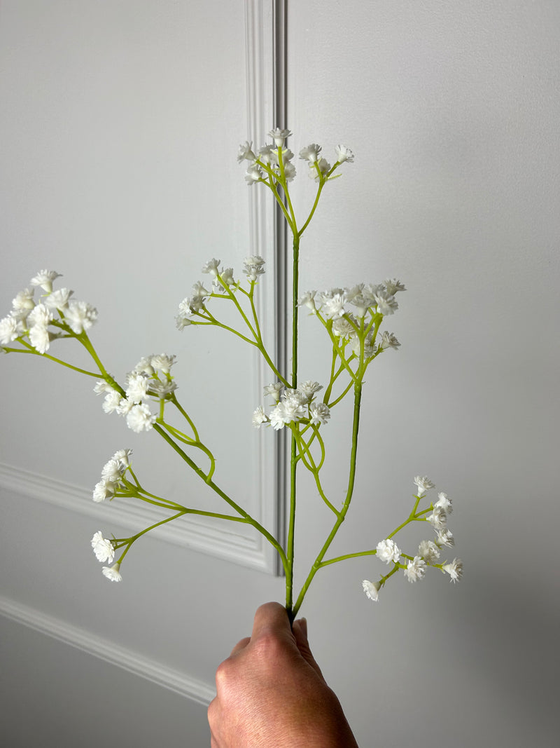 Gypsophila stem 60cm