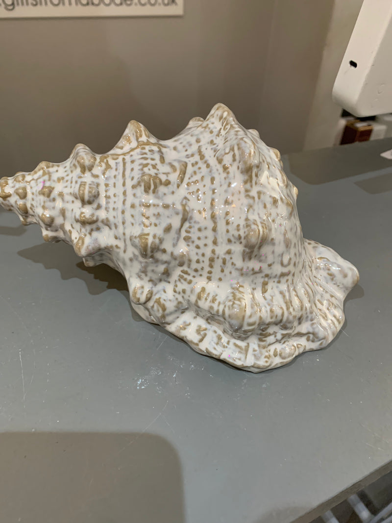 Off White Taupe Two Tone Ceramic Conch Shell