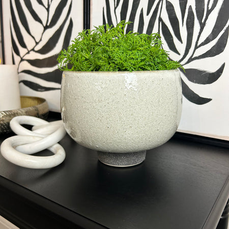 Speckled bowl plant pot on foot