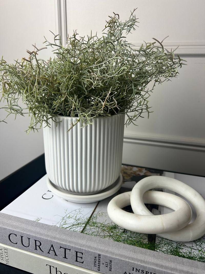 White Ribbed Plant Pot With Plate