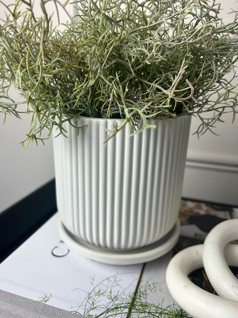 White Ribbed Plant Pot With Plate