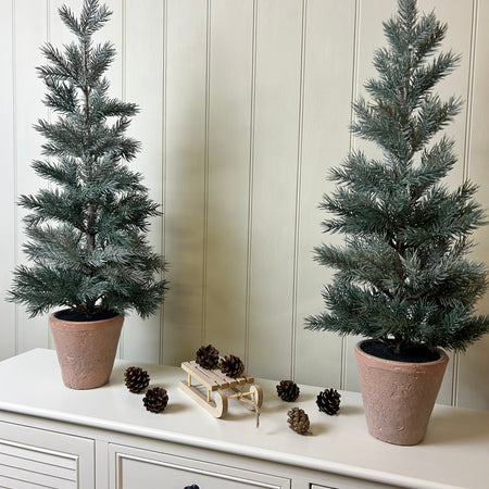 Tall 70cm potted terracotta pine tree