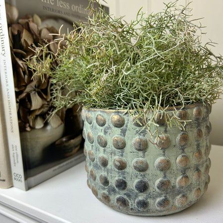 Gold bobble plant pot