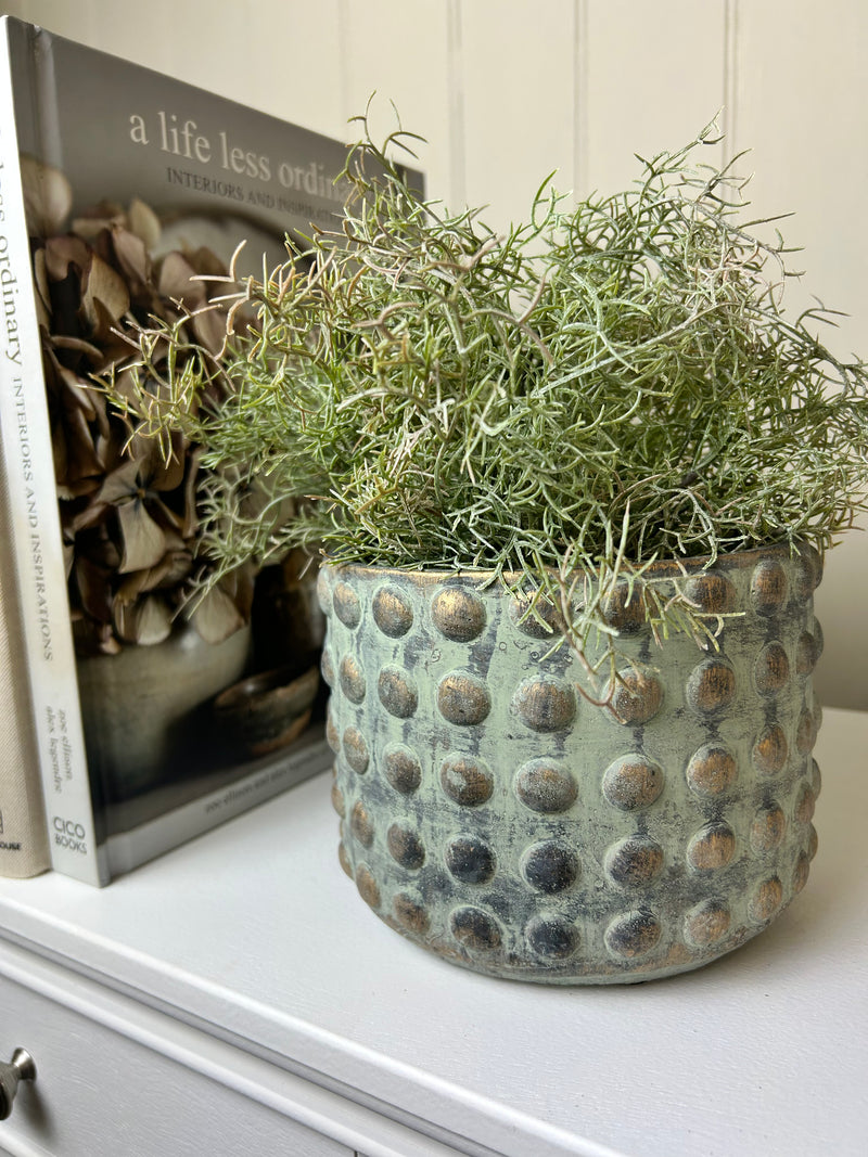 Gold bobble plant pot