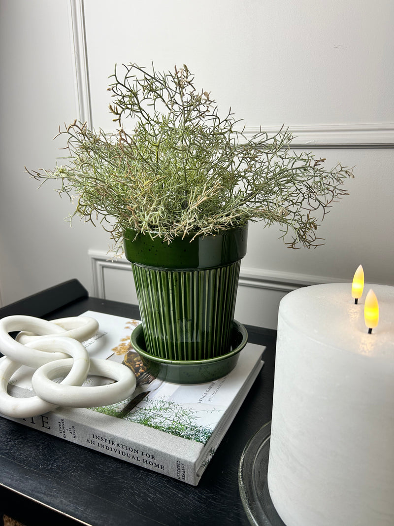 Green striped plant pot with plate