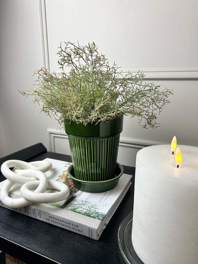 Green striped plant pot with plate