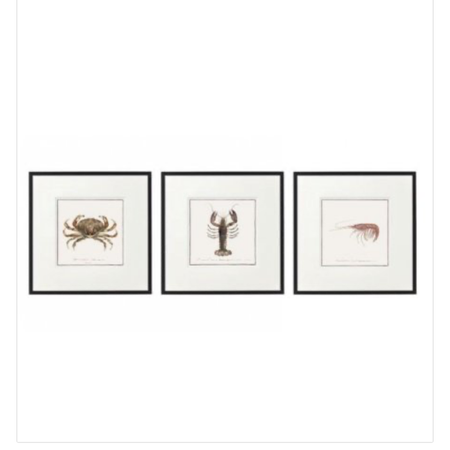 Set of 3 Crustacean Black mounted Framed Prints