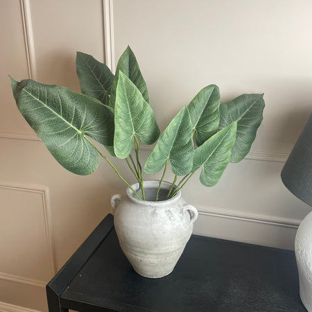 Green natural palm Philadendron spray stem