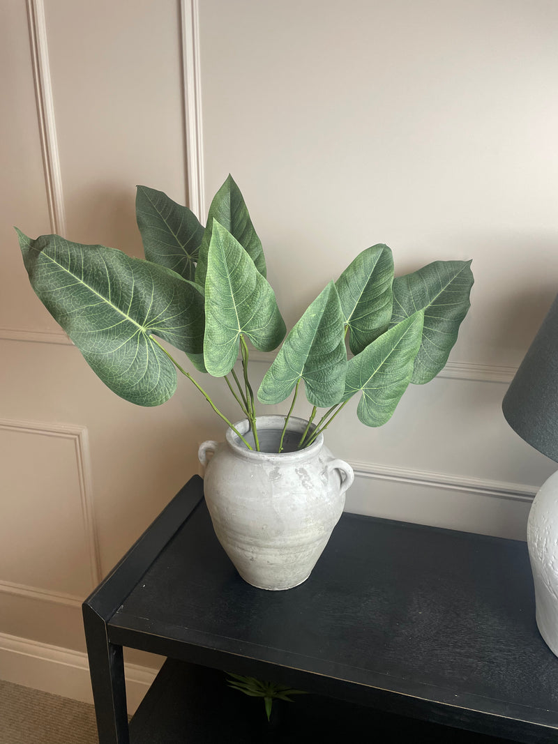 Green natural palm Philadendron spray stem