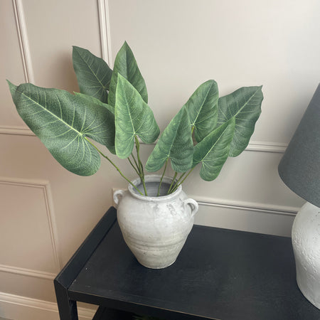 Green natural palm Philadendron spray stem