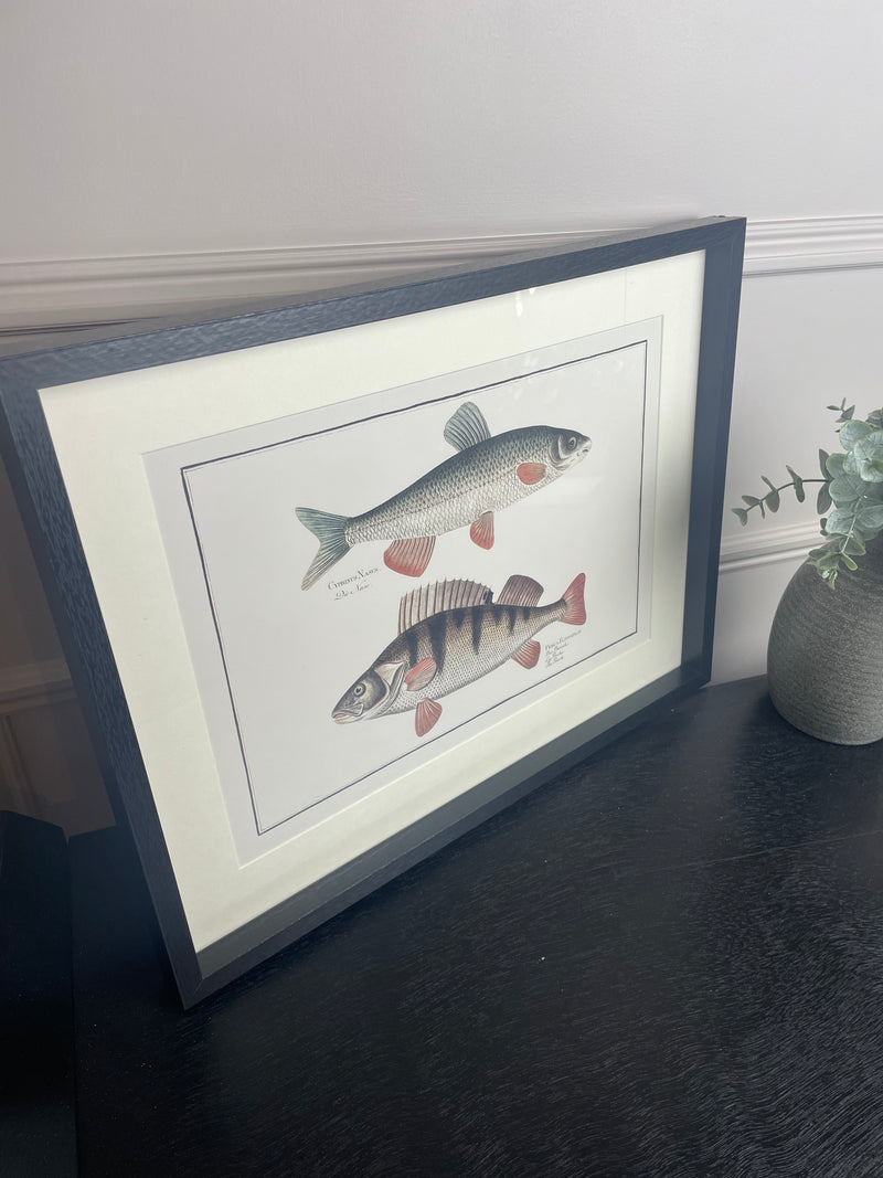 Fish Print in Black Frame 2
