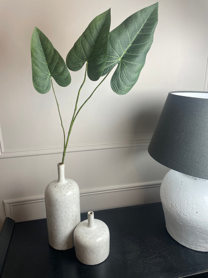 Green natural palm Philadendron spray stem