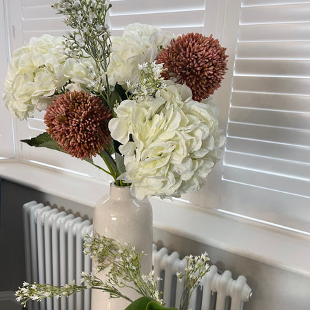 Store seconds white hydrangea