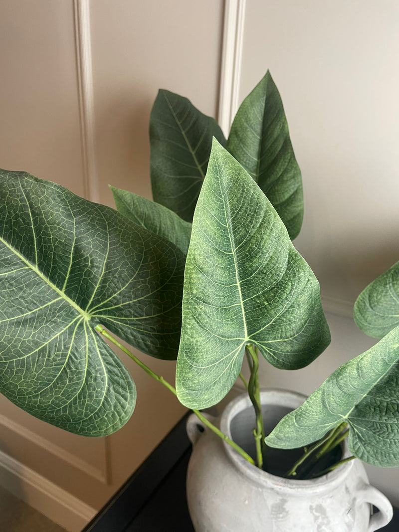 Green natural palm Philadendron spray stem
