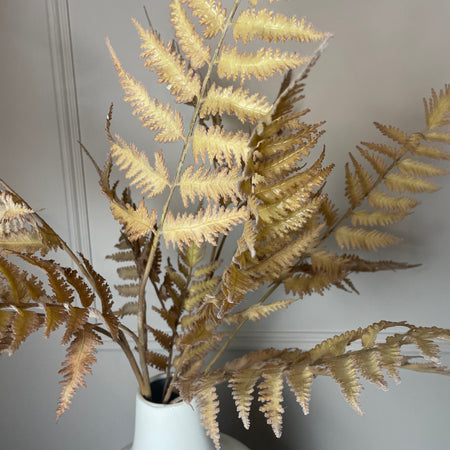 Dragon claw Fern leaf spray stem