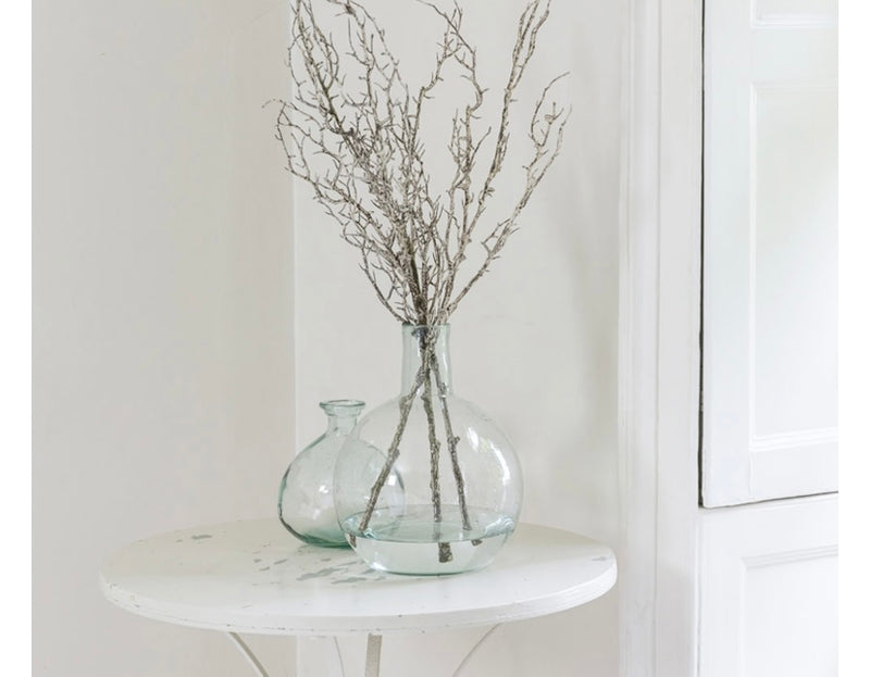 Hawthorn twig Branch