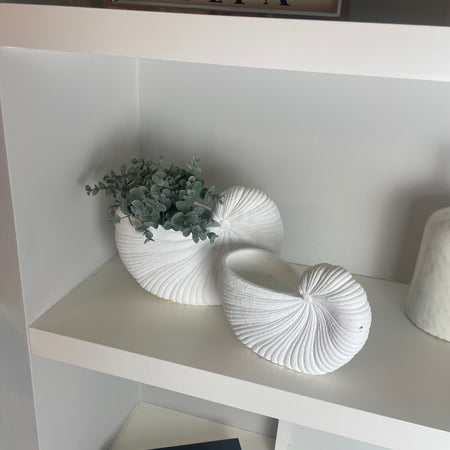 White Shell Shaped Planter, 2 Sizes