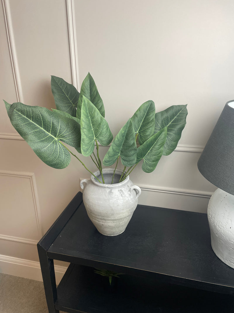 Green natural palm Philadendron spray stem