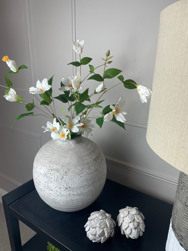 White cosmos Florida white Clematis Stem