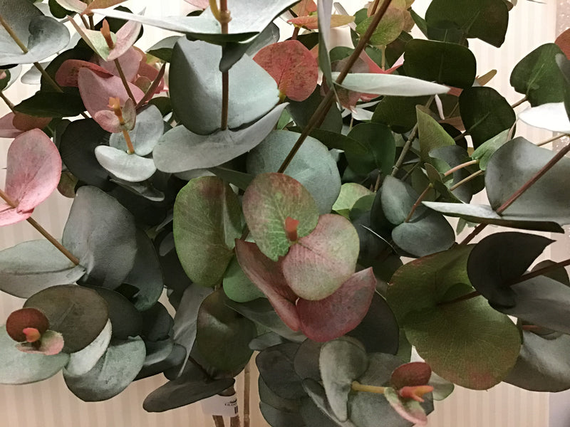 Blush natural Eucalyptus single stem