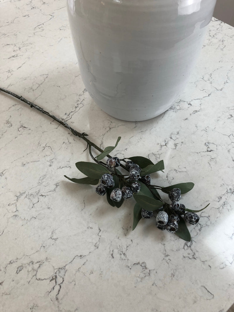 Eucalyptus blue berry spray
