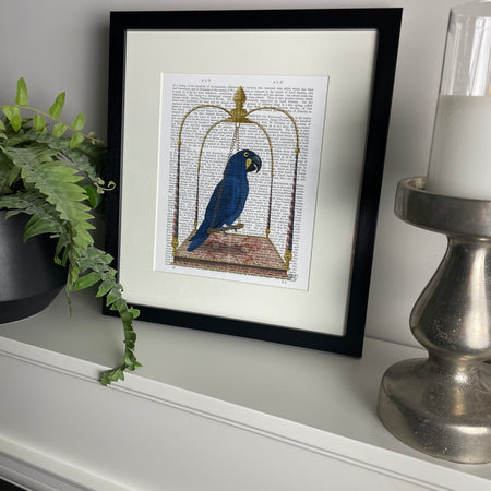 Parrot blue framed print