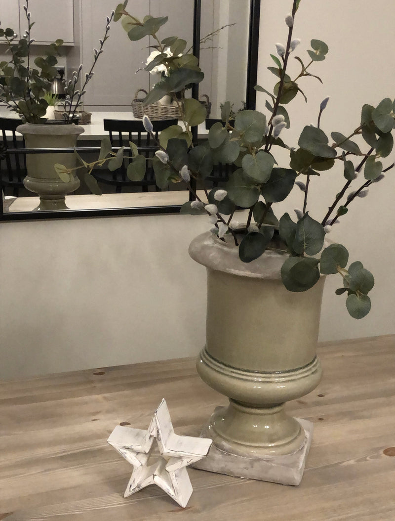 Natural Pussy Willow with leaf